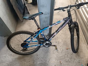 bici ragazzo ruote da 24