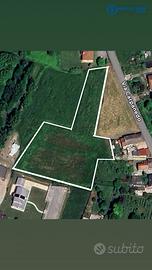 TERRENO AGRICOLO DI 7100 MQ, DI CUI 545 MQ EDIFICA