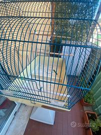 Gabbia per pappagalli o cocorite