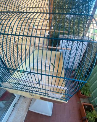 Gabbia per pappagalli o cocorite