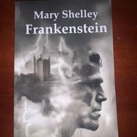 Romanzo Frankenstein in lingua inglese