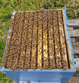 Sciami, Nuclei API - pronti alla produzione