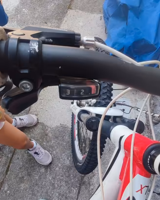 Bicicletta Mountain bike taglia XL