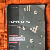 libro di matematica di Angelo Guerraggio