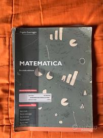 libro di matematica di Angelo Guerraggio