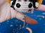Immagine 2