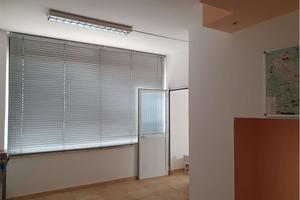 AMPIO LOCALE
