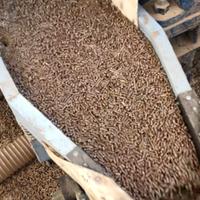 Impianto produzione pellets 100kg/ora