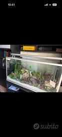 Acquario 400l