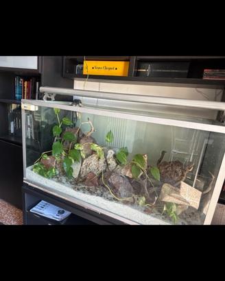Acquario 400l