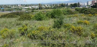 Terreno Agricolo Selargius [A4230355]