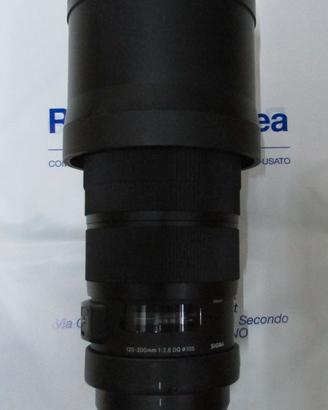 SIGMA 120-300/2.8 DG S (Canon EOS D)