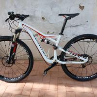 SPECIALIZED CAMBER COMP