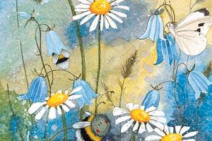 Casolare di campagna