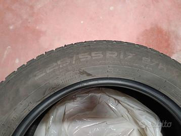 Gomme da neve Nokian 225/55 R17