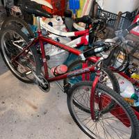 Lotto biciclette mountain bike MTB