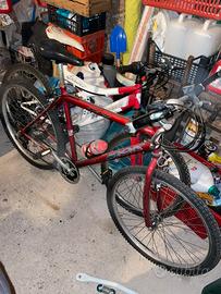 Lotto biciclette mountain bike MTB