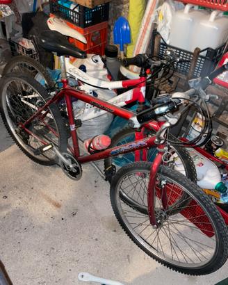 Lotto biciclette mountain bike MTB
