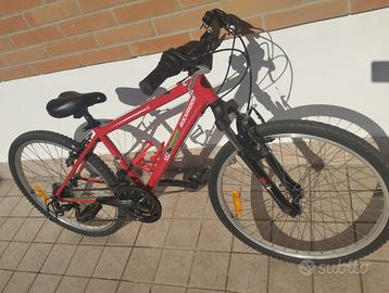 Bici da ragazzo