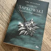 Il guardiano degli innocenti – The Witcher Vol. 1
