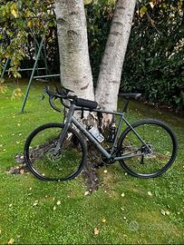 Trek domane al 2