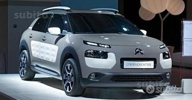 Parabrezza Citroen Cactus (dal 2014)