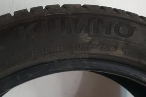 Pneumatici invernali 225/55/R19 99H