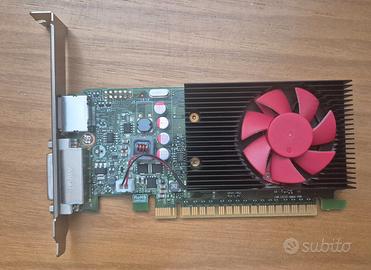 Scheda video HP NVIDIA GeForce GT 730 2GB PCI