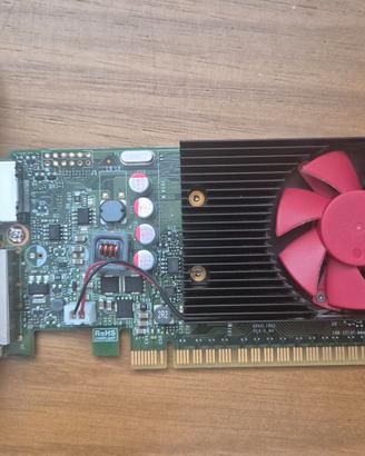 Scheda video HP NVIDIA GeForce GT 730 2GB PCI