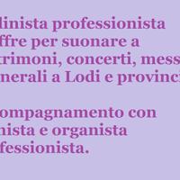 Violinista Lodi Vecchio