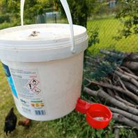 Abbeveratoio galline