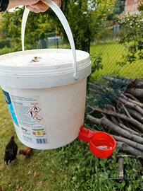 Abbeveratoio galline