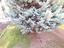 Immagine 18