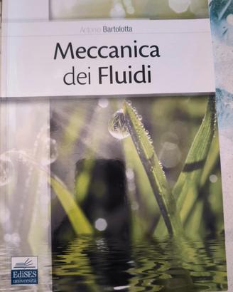 Meccanica dei Fluidi Antonio Bartolotta

Ottime co