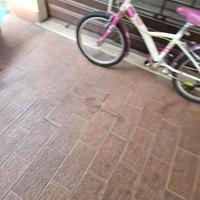 Bici bimba 5/12 anni