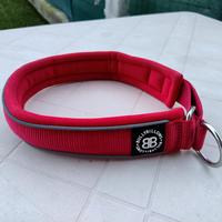 Collare per cani Bullybillows 