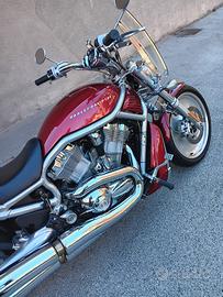 Harley Davidson V-Rod 1130 - 2004 - 11.000 km -