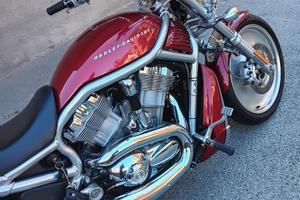 Harley Davidson V-Rod 1130 - 2004 - 11.000 km -