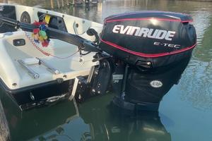 Evinrude etec 40