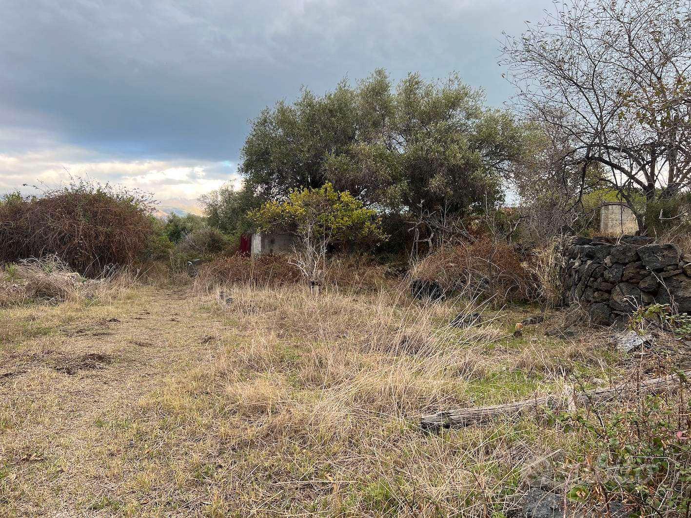 Rif.DR8| terreno agricolo acireale - Vista 3