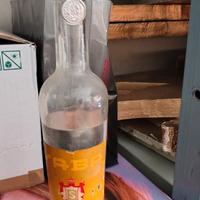 Anice Saba con sigillo