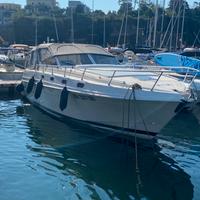 Fiart 35 Genius 2x231 volvo penta
