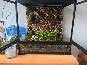 Terrario Bioattivo 60x60x45 Allestimento 3D Fogger