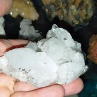 minerali da collezione. Quarzo con pirite 