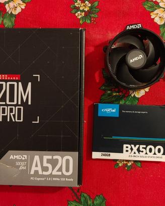 Bundle MSI A520M-A Pro