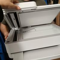 stampante HP wireless 