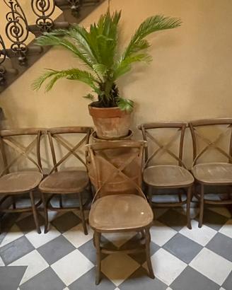 5 sedie  Cross vintage in legno