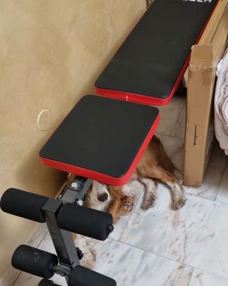 Panca allenamento pesi e esercizi
