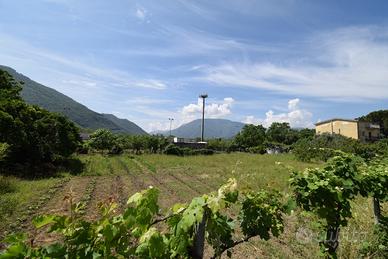 Terreno Agricolo Castel San Giorgio