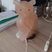 Lampada di sale a gufo per Bambini _ Milano